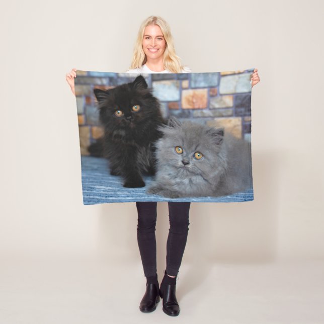 Cutest Baby Animals | Persian Kittens on Blanket (In Situ)