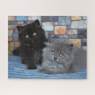 Cutest Baby Animals   Persian Kittens on Blanket Jigsaw Puzzle