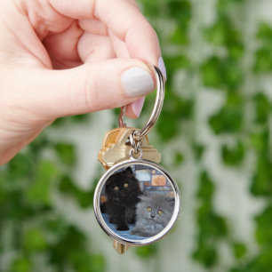 Cutest Baby Animals Persian Kittens on Blanket Key Ring