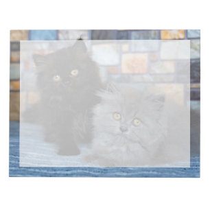 Cutest Baby Animals   Persian Kittens on Blanket Notepad