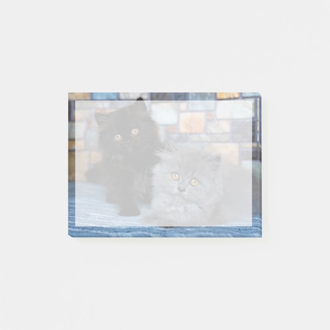 Cutest Baby Animals | Persian Kittens on Blanket Post-it Notes (Front)