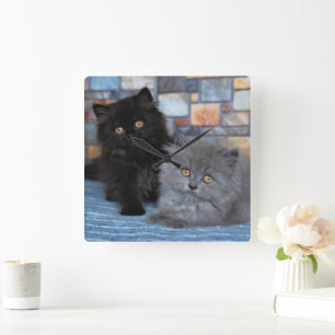 Cutest Baby Animals   Persian Kittens on Blanket Square Wall Clock