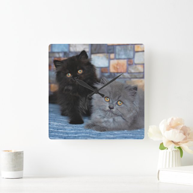 Cutest Baby Animals | Persian Kittens on Blanket Square Wall Clock (Home)
