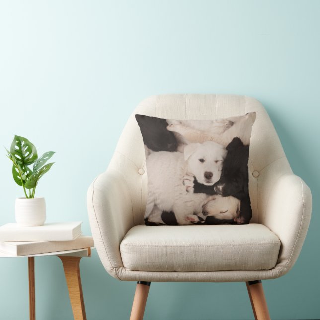Cutest Baby Animals | Pile of Puppies Cushion (Chair)