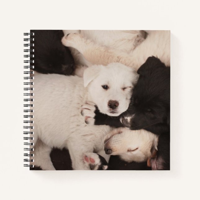 Cutest Baby Animals | Pile of Puppies Notebook (Front)
