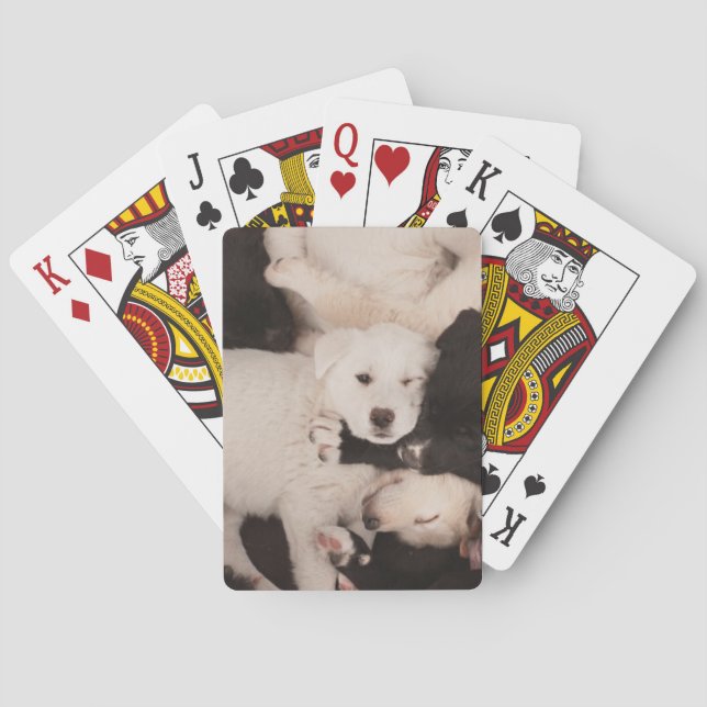 Cutest Baby Animals | Pile of Puppies Playing Cards (Back)