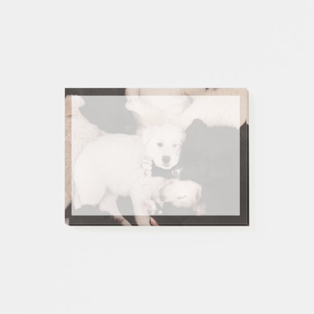 Cutest Baby Animals | Pile of Puppies Post-it Notes (Front)