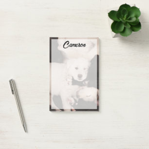 Cutest Baby Animals Pile of Puppies Post-it Notes
