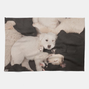 Cutest Baby Animals   Pile of Puppies Tea Towel