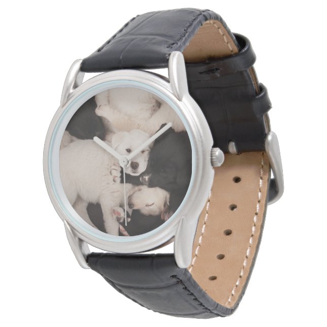 Cutest Baby Animals | Pile of Puppies Watch (Angled)