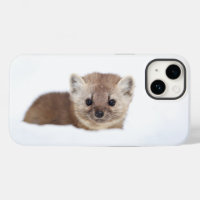 Cutest Baby Animals | Pine Marten