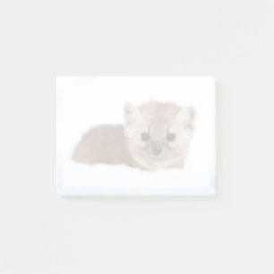 Cutest Baby Animals   Pine Marten Post-it Notes