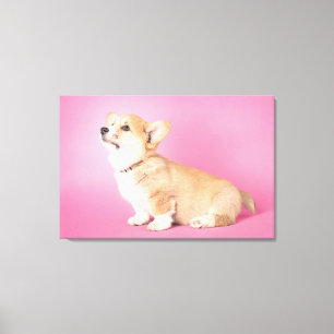 Cutest Baby Animals Pink Corgi Puppy Canvas Print