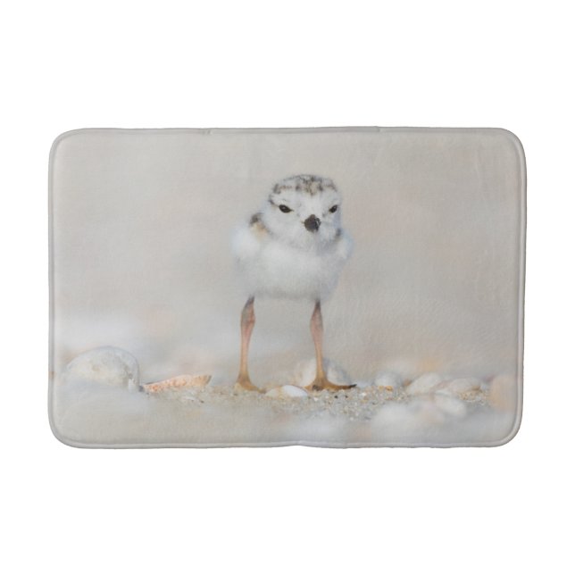 Cutest Baby Animals | Piping Plover Chick Bath Mat (Front)