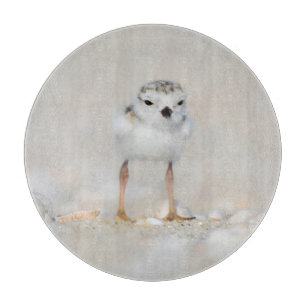 Cutest Baby Animals Piping Plover Chick Cutting Board