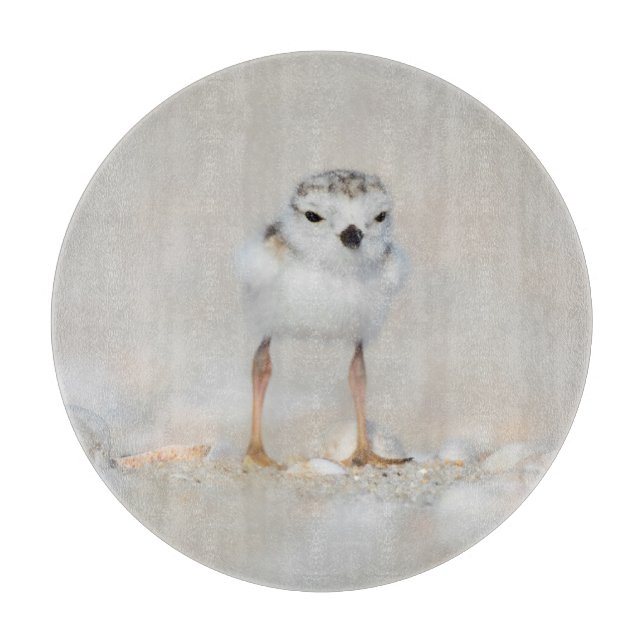 Cutest Baby Animals | Piping Plover Chick Cutting Board (Front)