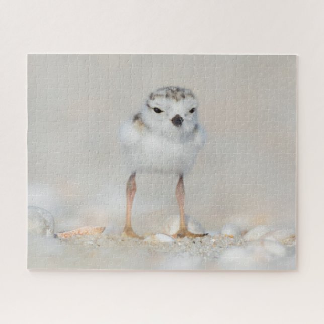 Cutest Baby Animals | Piping Plover Chick Jigsaw Puzzle (Horizontal)