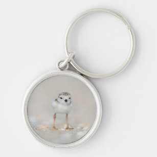 Cutest Baby Animals   Piping Plover Chick Key Ring