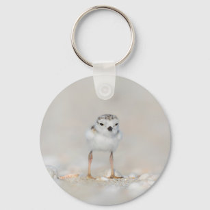 Cutest Baby Animals   Piping Plover Chick Key Ring