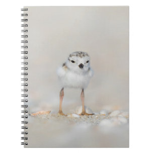 Cutest Baby Animals Piping Plover Chick Notebook