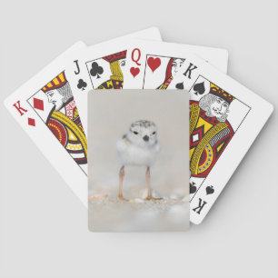 Cutest Baby Animals Piping Plover Chick Playing Cards