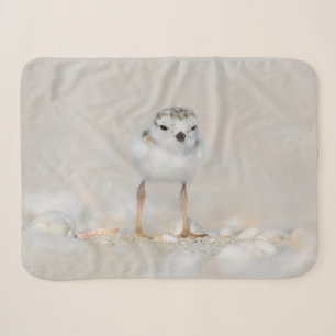 Cutest Baby Animals Piping Plover Chick Sherpa Blanket
