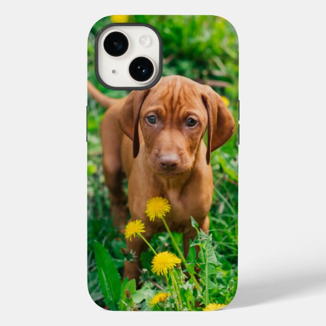 Cutest Baby Animals | Pointer Puppy Case-Mate iPhone Case (Back)