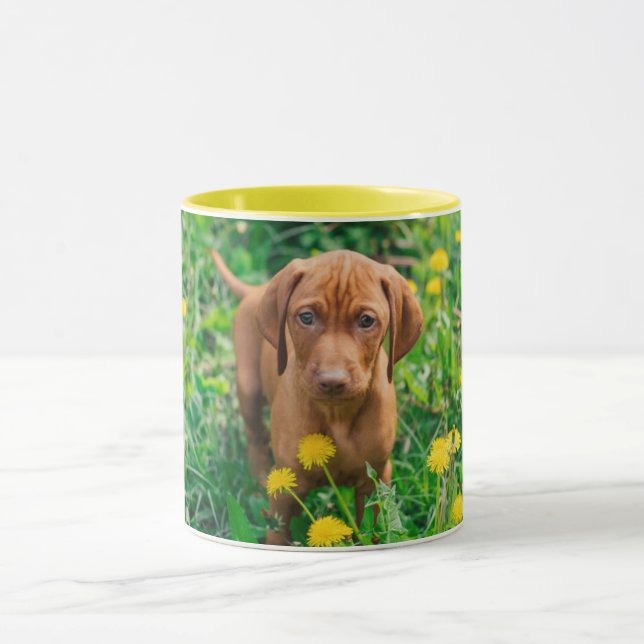 Cutest Baby Animals | Pointer Puppy Mug (Center)