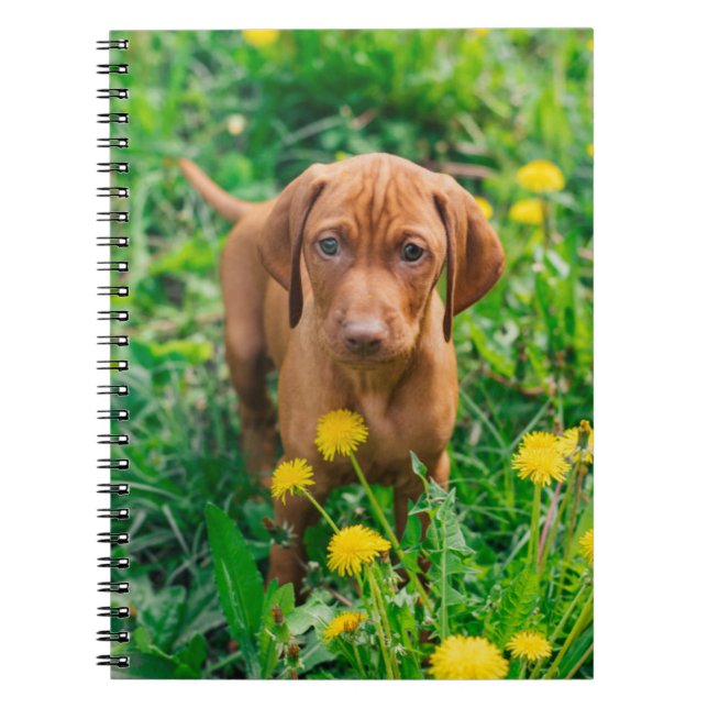 Cutest Baby Animals | Pointer Puppy Notebook (Front)