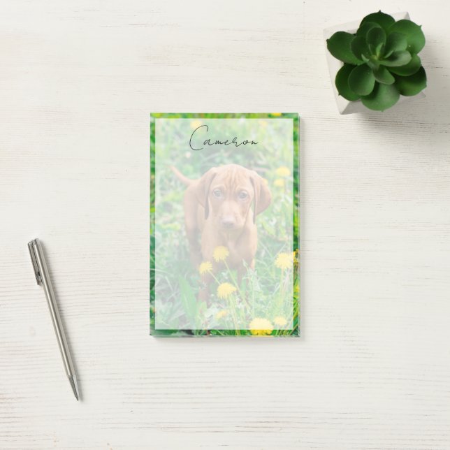 Cutest Baby Animals | Pointer Puppy Post-it Notes (Office)