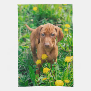 Cutest Baby Animals   Pointer Puppy Tea Towel