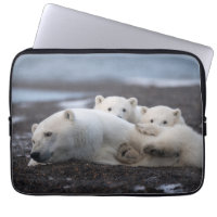 Cutest Baby Animals | Polar Bear Family Alaska