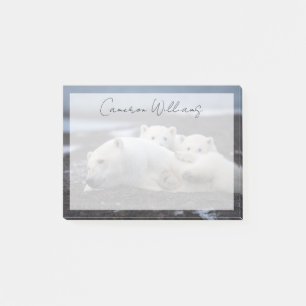 Cutest Baby Animals Polar Bear Family Alaska Post-it Notes