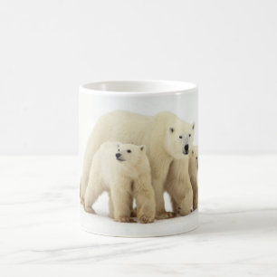 Cutest Baby Animals Polar Bear Family Coffee Mug