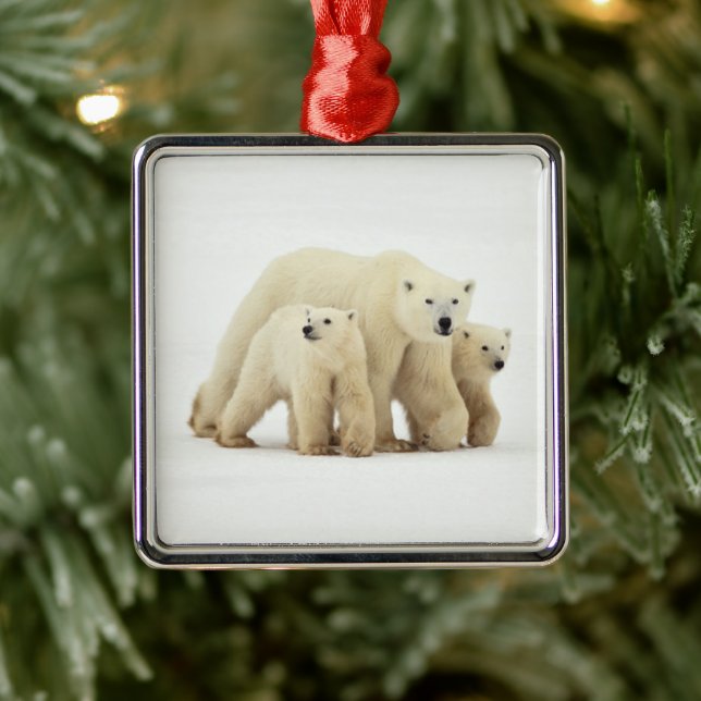 Cutest Baby Animals | Polar Bear Family Metal Tree Decoration (Tree)