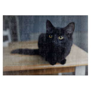 Cutest Baby Animals Portrait of a Black Cat Cutting Board