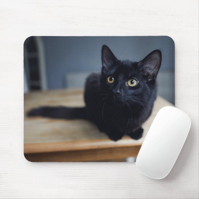 Cutest Baby Animals | Portrait of a Black Cat Mouse Pad (With Mouse)