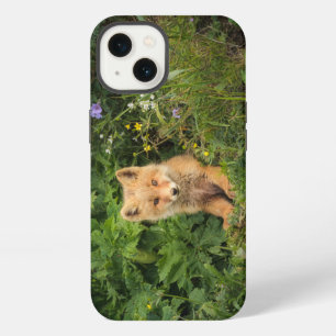 Cutest Baby Animals Red Fox at Umnak Alaska iPhone 13 Case