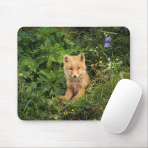 Cutest Baby Animals   Red Fox at Umnak Alaska Mouse Pad