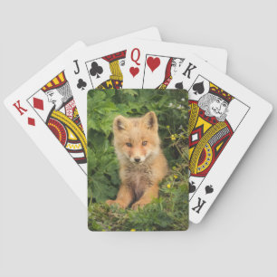 Cutest Baby Animals Red Fox at Umnak Alaska Playing Cards