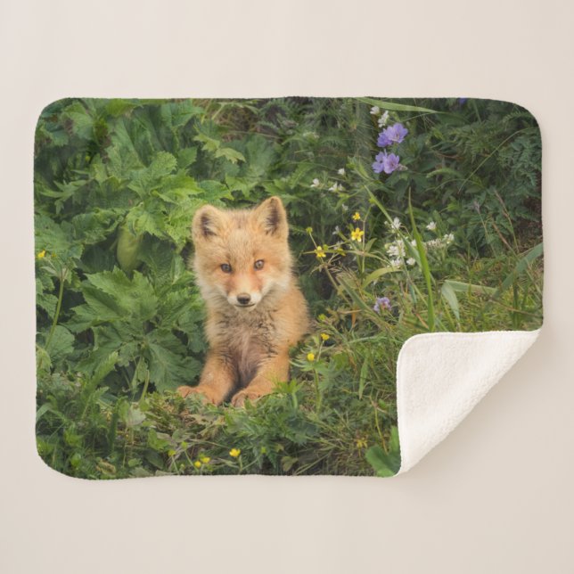 Cutest Baby Animals | Red Fox at Umnak Alaska Sherpa Blanket (Front (Horizontal))