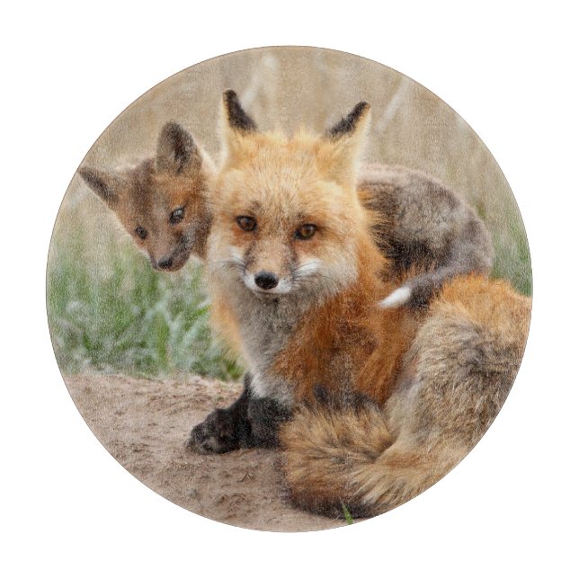 Cutest Baby Animals | Red Fox & Baby Cutting Board (Front)
