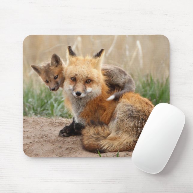 Cutest Baby Animals | Red Fox & Baby Mouse Pad (With Mouse)
