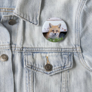 Cutest Baby Animals   Red Fox Kit Peeking 6 Cm Round Badge
