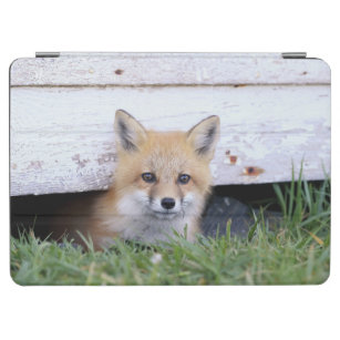 Cutest Baby Animals   Red Fox Kit Peeking iPad Air Cover