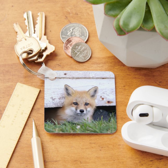 Cutest Baby Animals | Red Fox Kit Peeking Key Ring (Desk)