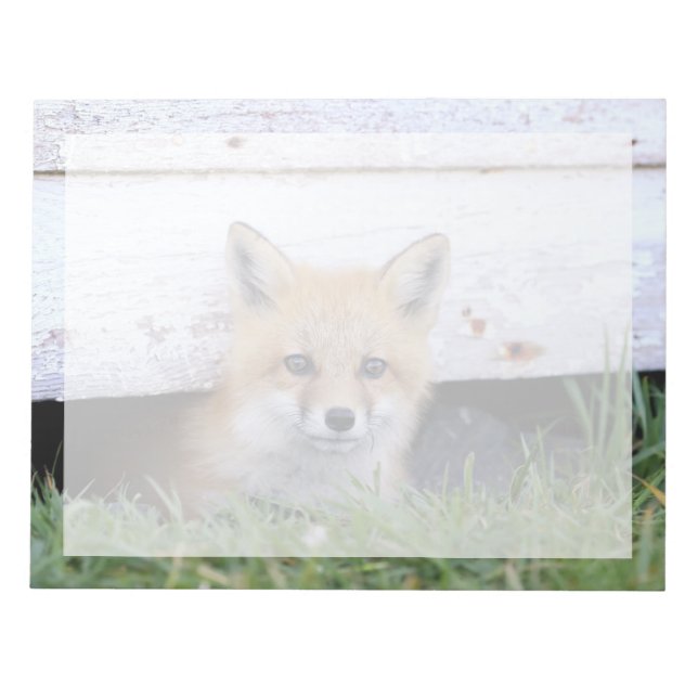 Cutest Baby Animals | Red Fox Kit Peeking Notepad (Front)