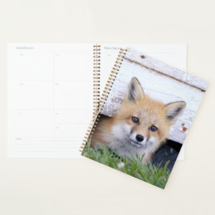 Cutest Baby Animals Red Fox Kit Peeking Planner
