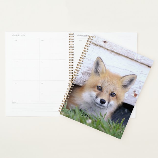 Cutest Baby Animals | Red Fox Kit Peeking Planner (Display)