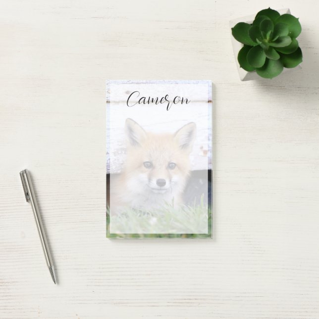 Cutest Baby Animals | Red Fox Kit Peeking Post-it Notes (Office)